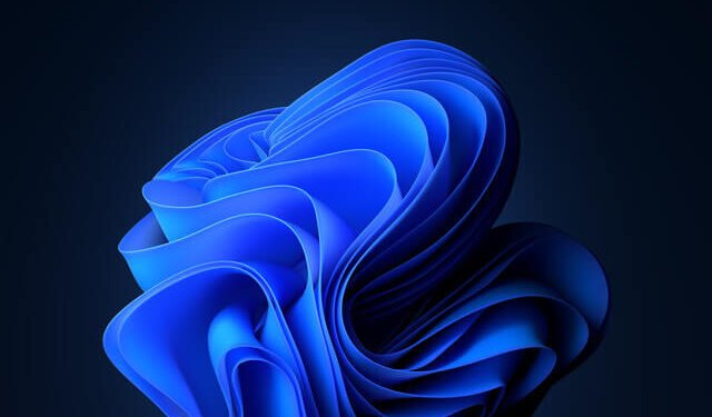 Installing Windows 11